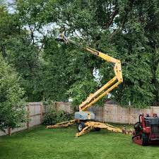 Best Hedge Trimming  in Lake Of The Woods, VA